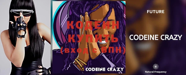 индика Каменск-Шахтинский
