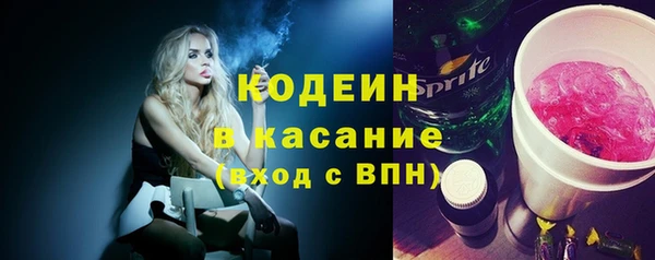 индика Каменск-Шахтинский