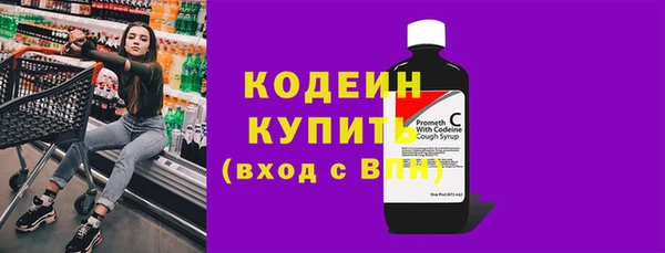 индика Каменск-Шахтинский
