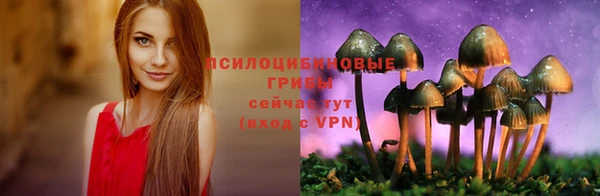 индика Каменск-Шахтинский