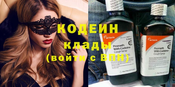 индика Каменск-Шахтинский