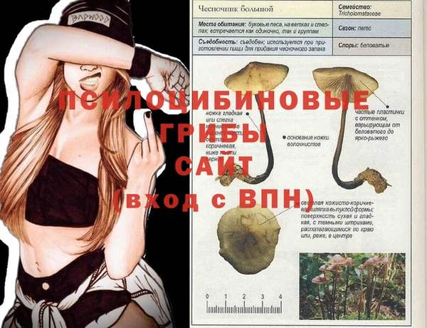 а пвп мука Каменногорск