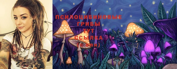 а пвп мука Каменногорск