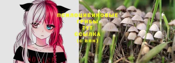 а пвп мука Каменногорск